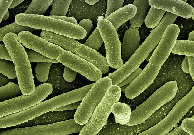 yeast infection treatment