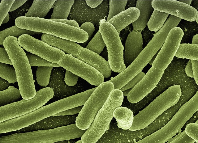 yeast infection treatment
