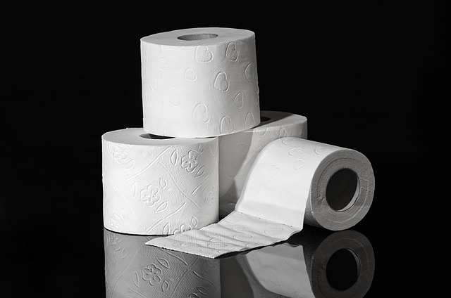 charmin essentials toilet paper