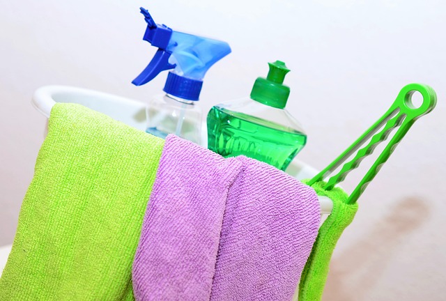 basic house cleaning supplies