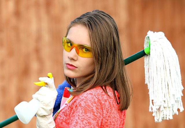 thieves young living household cleaner