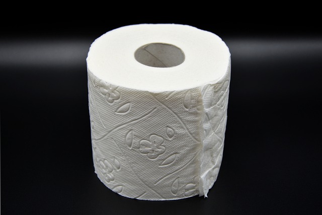 charmin essentials toilet paper
