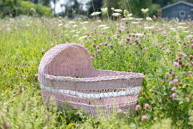 bassinet