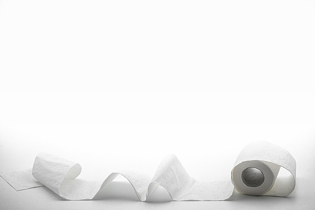 charmin essentials soft toilet paper