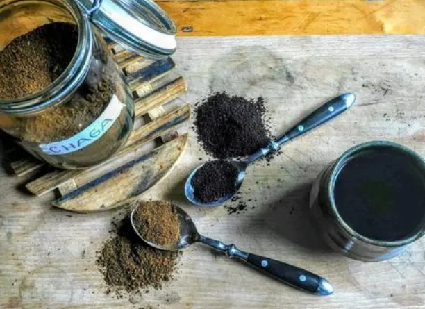 How Does Mushroom Coffee Compare to Regular Coffee in Cognitive Performance