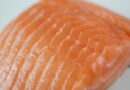 salmon