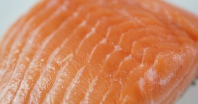 salmon