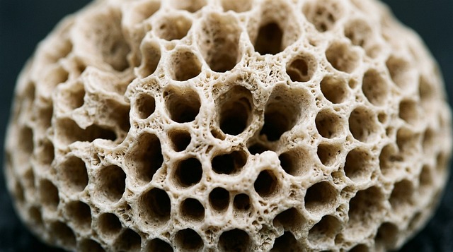 osteoporosis