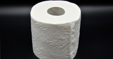 charmin basic toilet paper