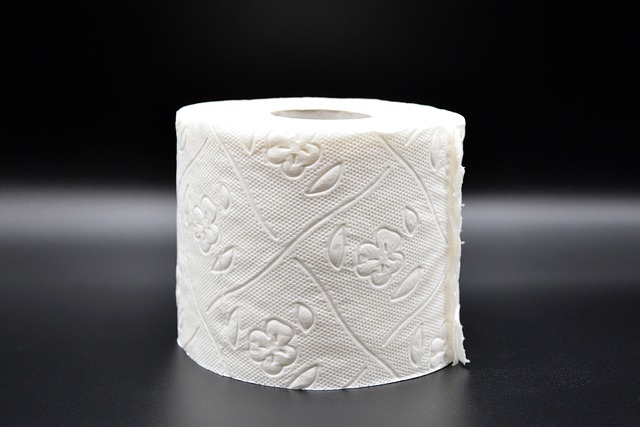 charmin basic toilet paper