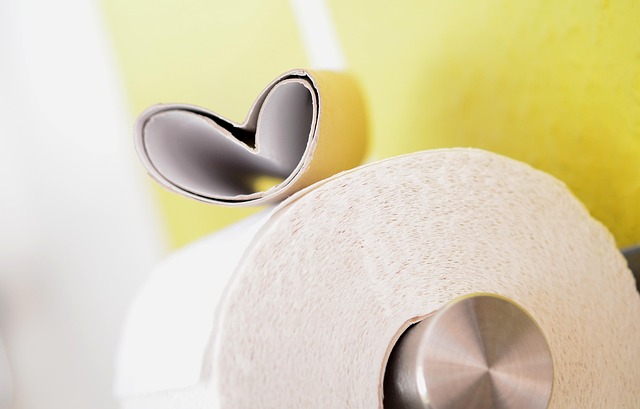 charmin essentials strong toilet paper
