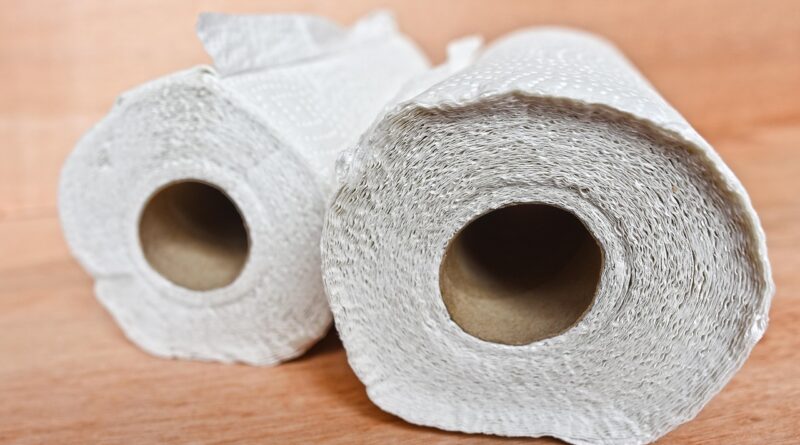 kitchen towel, kitchen paper, roll, cleaning, sanitary, wipe, household, domestic, kitchen towel, kitchen towel, kitchen towel, kitchen towel, kitchen paper, kitchen paper, kitchen paper, kitchen paper, kitchen paper