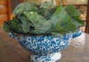 greens, collards, veggies, vegetable, farm, fresh, country, food, southern, organic, leafy, meal, healthy, vegetarian, soul food, nutrition, produce, agriculture, garden, plant, bunch, brown food, nature, brown vegetables, brown garden, brown healthy, brown farm, brown gardening, brown nutrition, brown soul