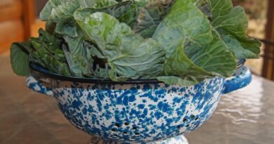 greens, collards, veggies, vegetable, farm, fresh, country, food, southern, organic, leafy, meal, healthy, vegetarian, soul food, nutrition, produce, agriculture, garden, plant, bunch, brown food, nature, brown vegetables, brown garden, brown healthy, brown farm, brown gardening, brown nutrition, brown soul