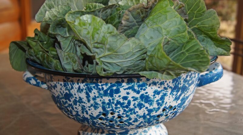 greens, collards, veggies, vegetable, farm, fresh, country, food, southern, organic, leafy, meal, healthy, vegetarian, soul food, nutrition, produce, agriculture, garden, plant, bunch, brown food, nature, brown vegetables, brown garden, brown healthy, brown farm, brown gardening, brown nutrition, brown soul
