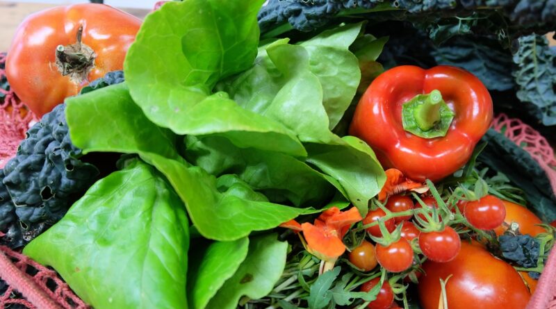 food, vegetable, in good health, fruit, tomato