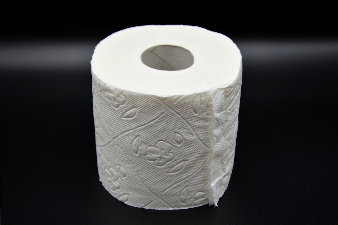 toilet paper, hygiene, loo, role, wc, toilet, paper, corona, virus, sanitary, lockdown, toilet paper, toilet paper, toilet paper, toilet paper, toilet paper