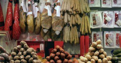 catalan thin, dry-cured, sausage, pork meat, pork gut