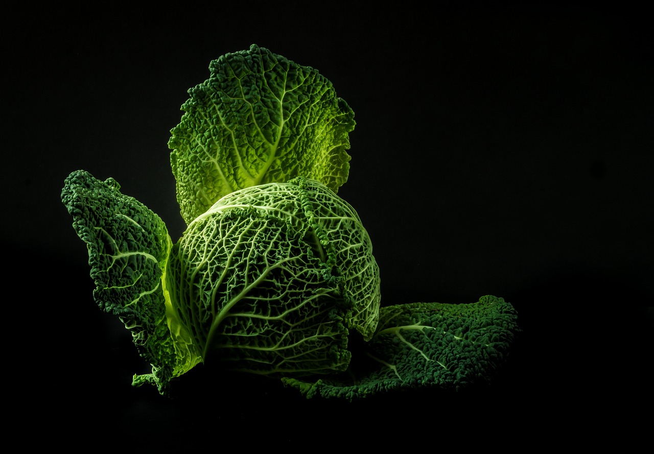 vegetable, cabbage, green, food, fresh, raw, leaves, green food, green vegetable, green leaves, nature, healthy, black background, food photography