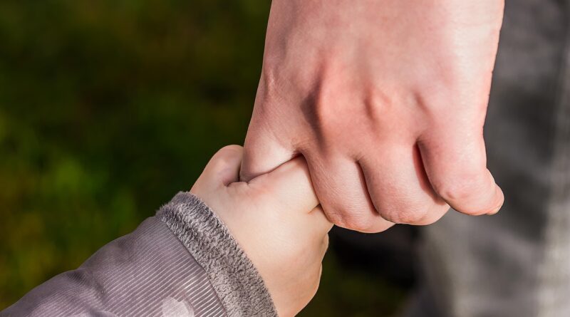 hands, child's hand, hold, holding, touch, parent, hold tight, fingers, child, relationship, hands, hands, hands, hands, hold, touch, touch, parent, parent, parent, child, child, child, child, child, relationship, relationship, relationship