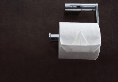 toilet tissue, loo paper, toilet paper, hygiene, toilet, roll, wc, tissue, restroom, sanitary, soft, wipe, lavatory, toilet paper, toilet paper, toilet paper, toilet paper, toilet paper, restroom