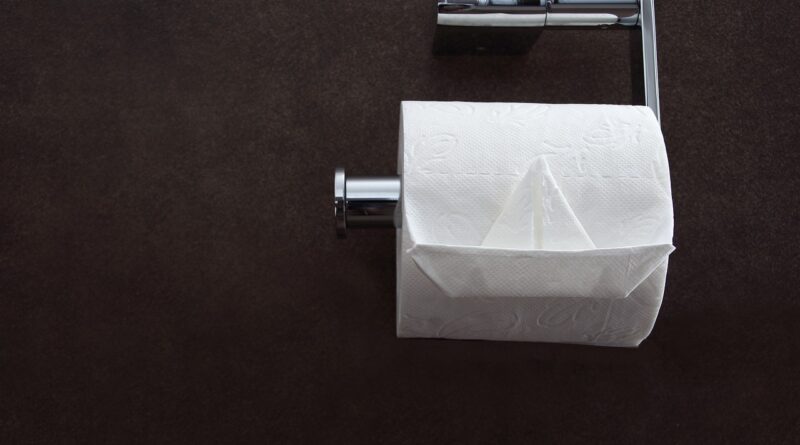 toilet tissue, loo paper, toilet paper, hygiene, toilet, roll, wc, tissue, restroom, sanitary, soft, wipe, lavatory, toilet paper, toilet paper, toilet paper, toilet paper, toilet paper, restroom