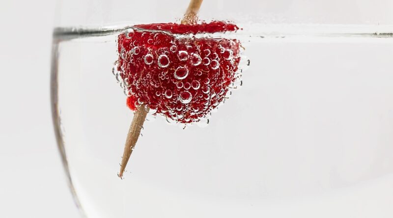 cocktail, drink, glass, alcohol, beverage, bar, liquor, ice, cold, vodka, refreshment, cool, summer, refreshing, berry, soda water, bubble, nature, raspberry