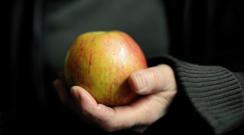 apple, hand, keep, fruit, vitamins, fresh, meal, food, remove, a, one, vegetarian, overweight, diet, fast, lent, apple, apple, apple, one, diet, diet, diet, diet, diet, fast