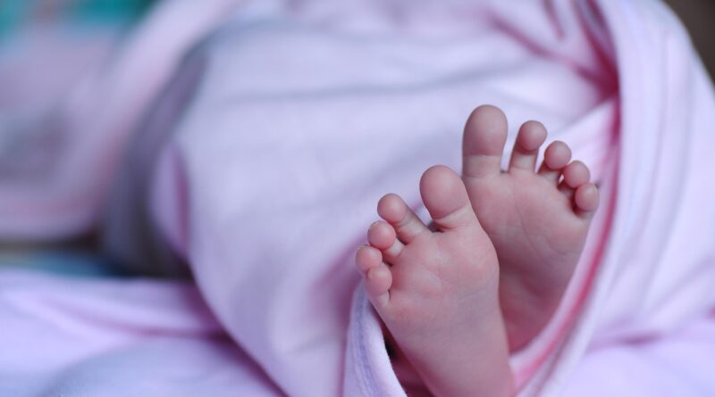 baby, feet, blanket, newborn, child, skin, small, little, baby feet, childhood, infant, newborn baby, baby, baby, baby, baby, baby