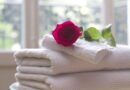towel, rose, rose flower, clean, care, salon, spa, white, bath, relax, hospitality, hotel