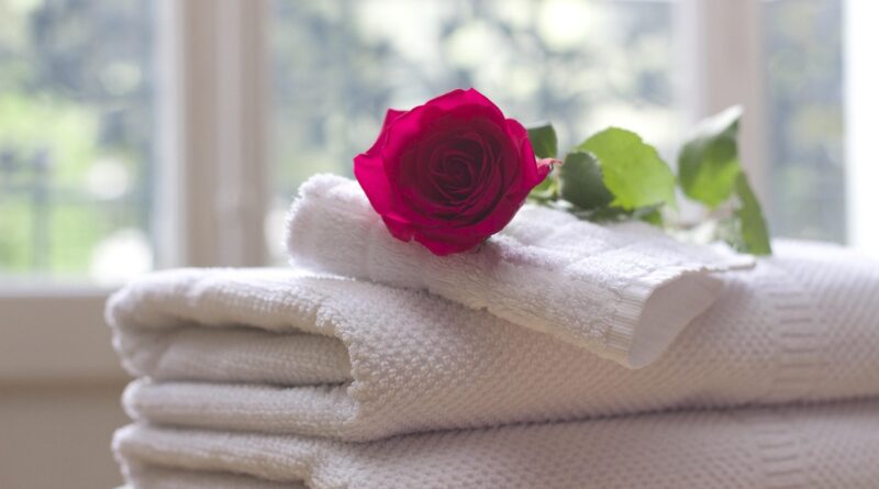 towel, rose, rose flower, clean, care, salon, spa, white, bath, relax, hospitality, hotel