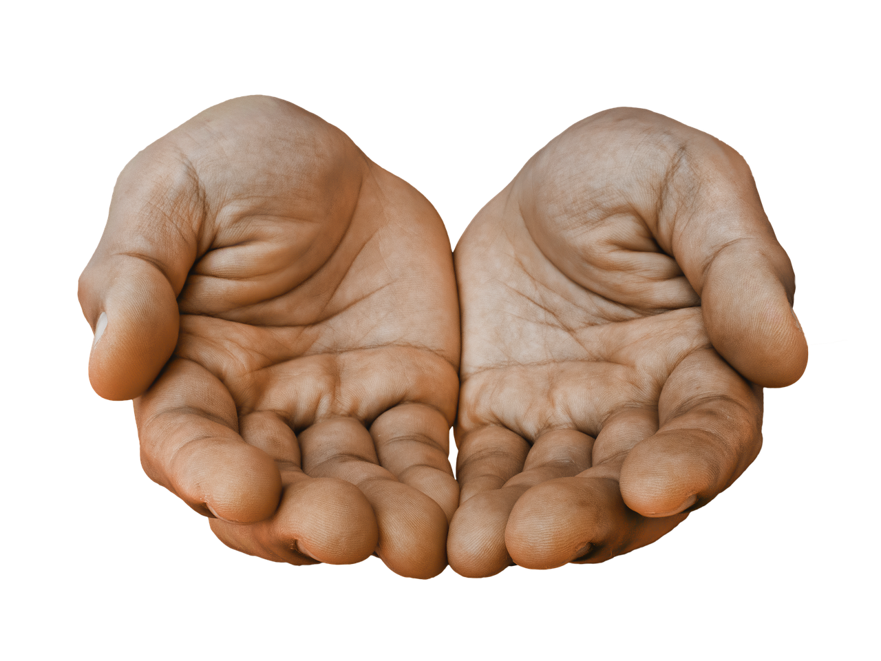 hands, receiving palm, palm, receive, open, gesture, person, people, empty, finger, symbol, showing, hands, hands, hands, hands, hands, receive, people