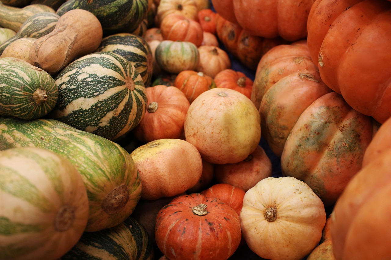 pumpkin, me, the pumpkin background, autumn, orange, october, season, holiday, vegetable, food, yellow, farm, squash