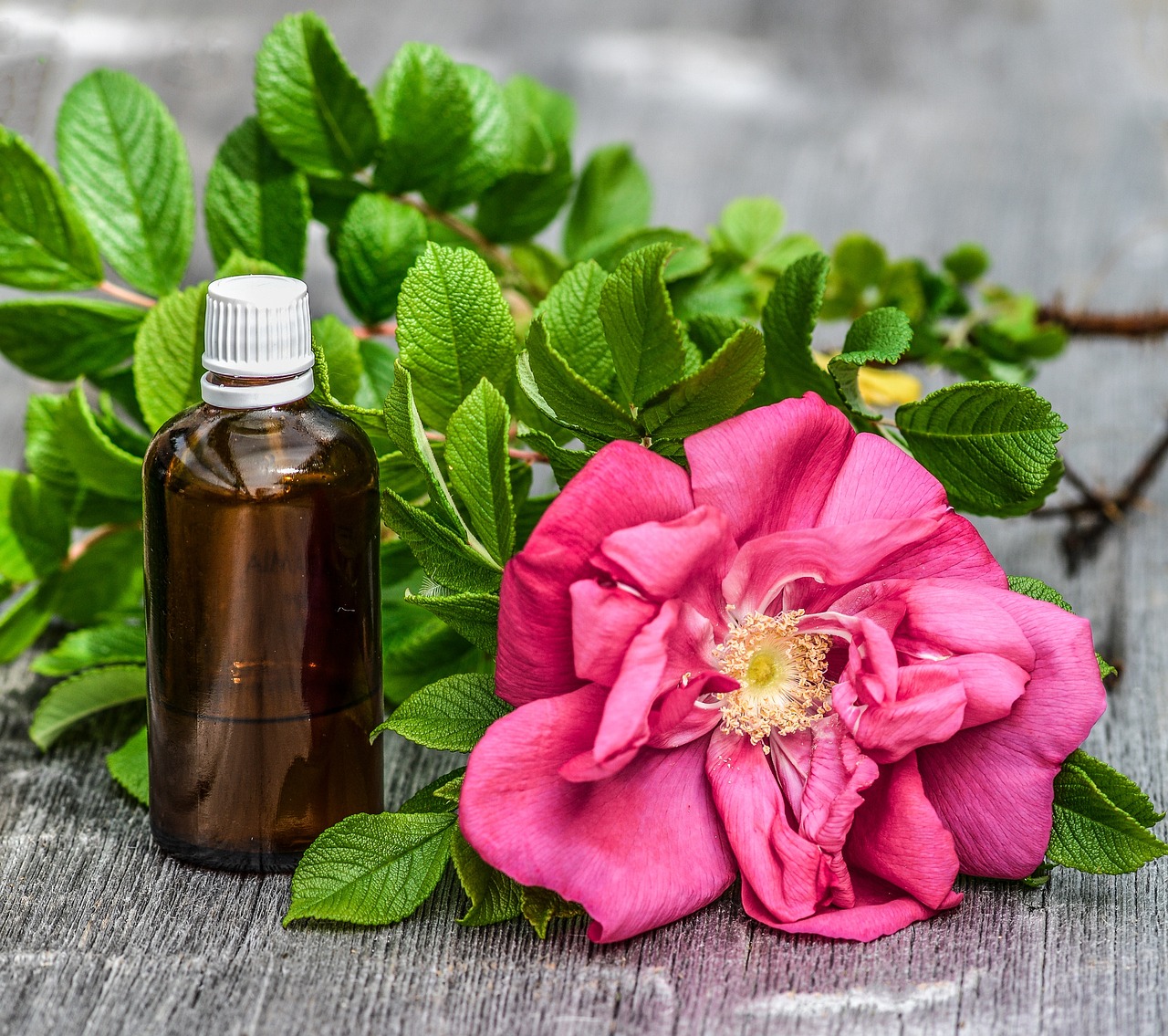 essential oils, alternative, aroma, nature, aromatic, body, bottle, care, flower, fragrance, health, rose flower, flower background, herbal, flower wallpaper, liquid, massage, natural, oil, perfume, relax, relaxation, scent, spa, treatment, wellness, zen, essential, rose, leaves, petals, beautiful flowers, colorful