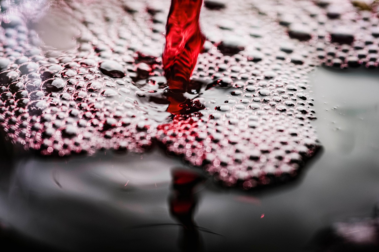 wine, liquid, bubbles, pour, red wine, bubble, flow, alcoholic drink, beverage, liquor, wine, wine, wine, wine, wine, red wine