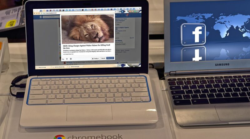 laptop, computer, facebook, technology, business, internet, notebook, screen, keyboard, pc, office, work, monitor, communication, modern, network, brown business, brown computer, brown office, brown technology, brown laptop, brown work, brown facebook, brown network, brown community, brown internet, brown communication, brown company, brown social, brown keyboard, brown media, laptop, facebook, facebook, facebook, facebook, facebook, office