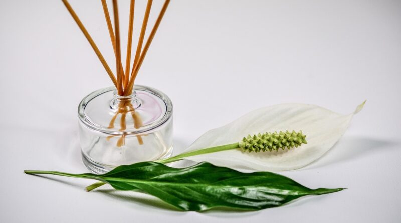 scent, sticks, fragrance, aromatic, aroma, aromatherapy, smell, perfume, scented, therapy, bottle, essence, wooden, relax, relaxation, wellness, luxury, nature, natural, decoration, essential, senses, harmony, composition, home, oils, glass, healthy, fresh, bowl, herbal, plant, botany, organic, leaf, medicine, freshness, natural medicine, aromatherapy, aromatherapy, aromatherapy, smell, perfume, perfume, perfume, perfume, perfume, essence