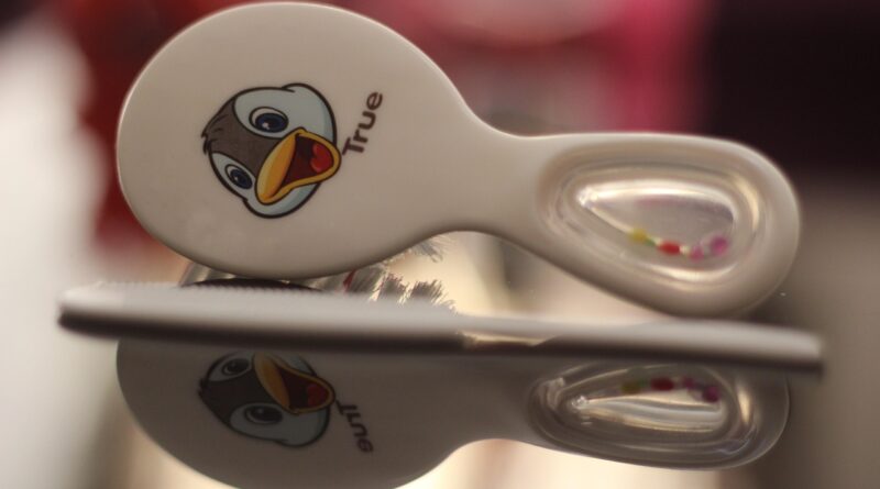 desktop, isolated, closeup, equipment, business, family, baby, true, stuff, mirror, reflection, brand, chicken, son, daughter, fun, joy, toy, brown chicken, brown mirror
