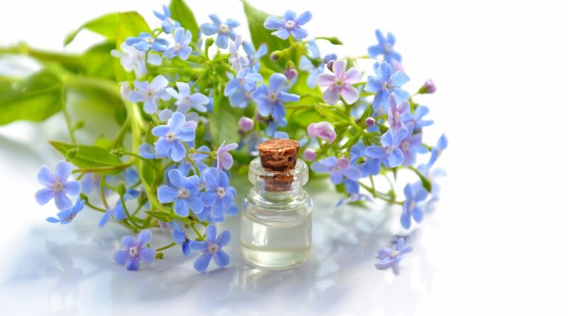 cosmetic oil, essential oil, cosmetology, forget-me-not, brunnera, flower wallpaper, flowers, blue flowers, nature, aromatherapy, spa, the medicine, the science, relaxation, alternative, therapy, beautiful flowers, flower background, body care, alternative medicine, wellness, white background