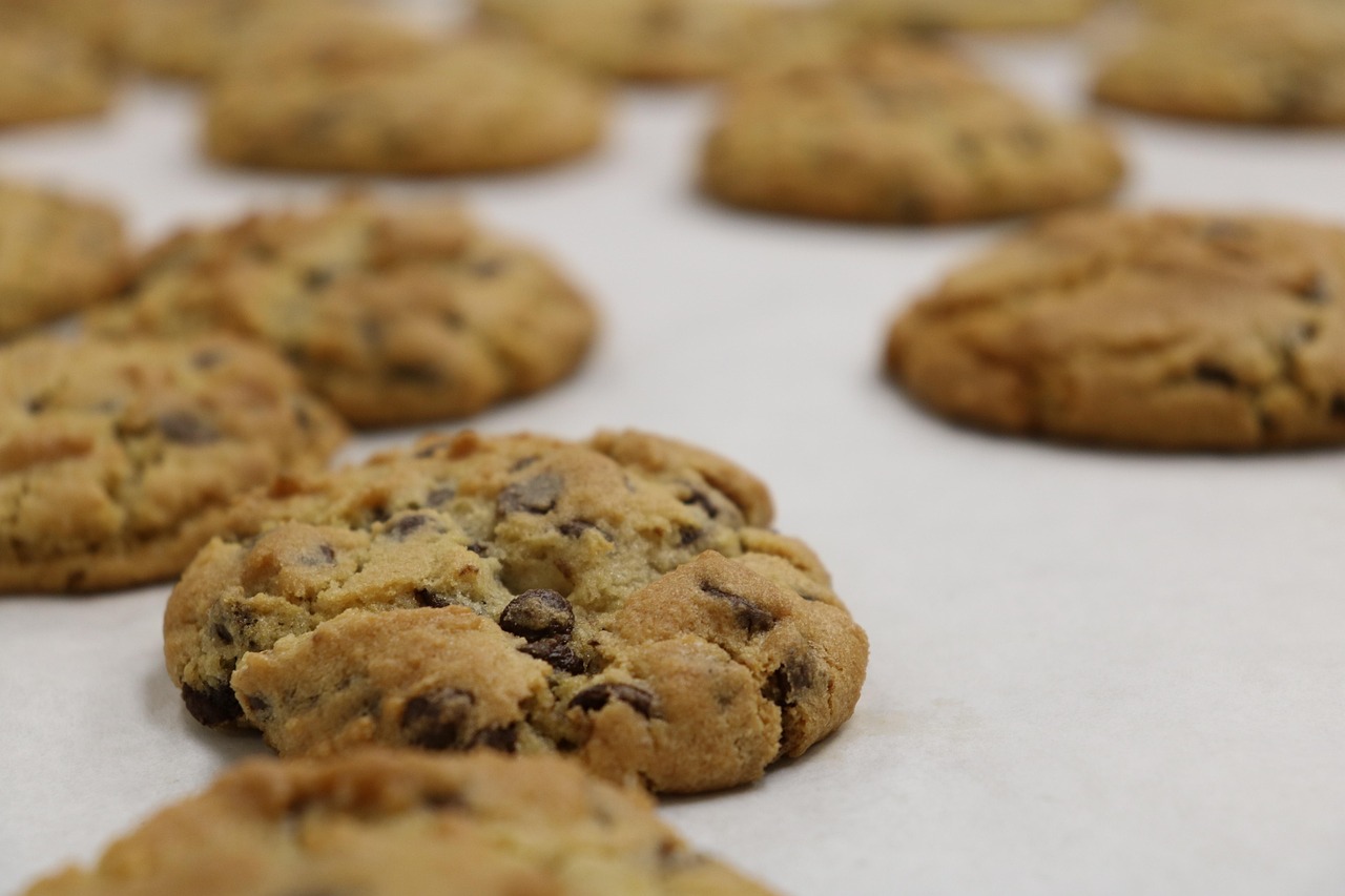 cookie, chocolate chip, baking, kitchen, bake, dessert, snack, food, sweet, brown chocolate, chocolate chip, chocolate chip, chocolate chip, chocolate chip, chocolate chip