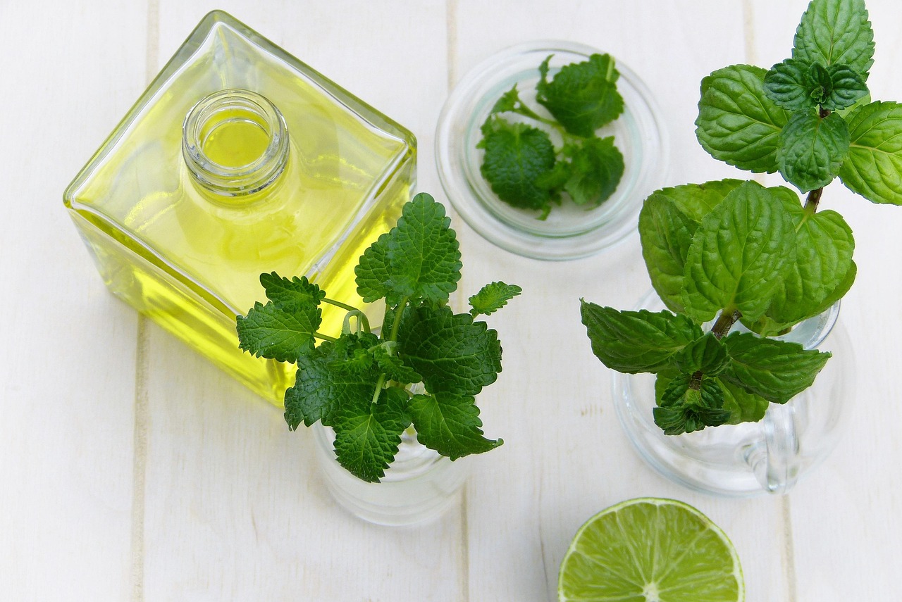 leaf, mint, herb, healthy, food, oil, essential oils, nourishment, medicinal plant, fresh, health, nature, peppermint, lemon, balm, alternative medicine, immune system, depression, beauty, personal hygiene, aromatherapy, fragrance, wellness, vitamins