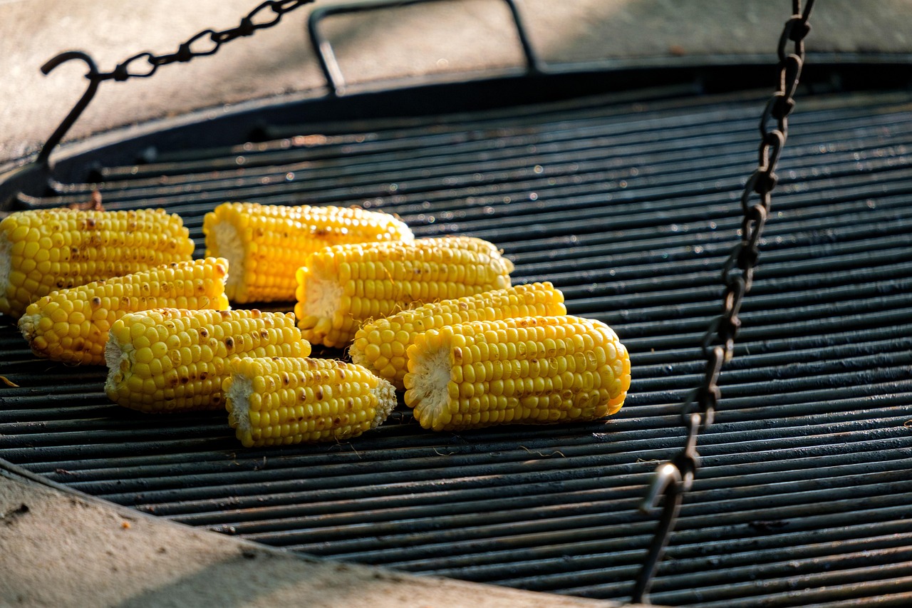 corn, corn on the cob, grilling, grill, grilled food, food